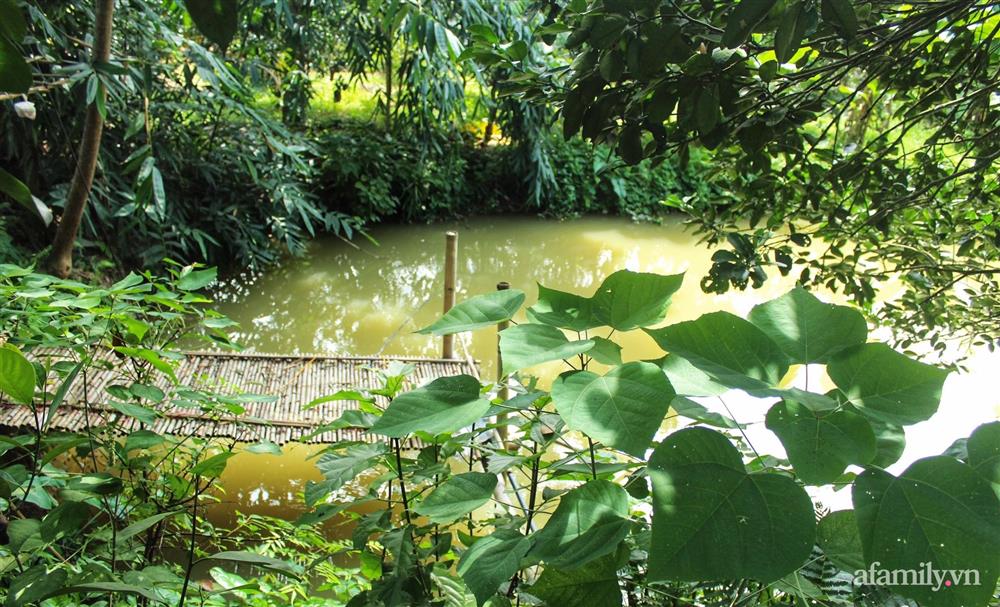 Khu vườn đậm chất thơ bình yên như cổ tích khiến hàng nghìn người mơ ước của cô gái rời Hà Nội về quê-16