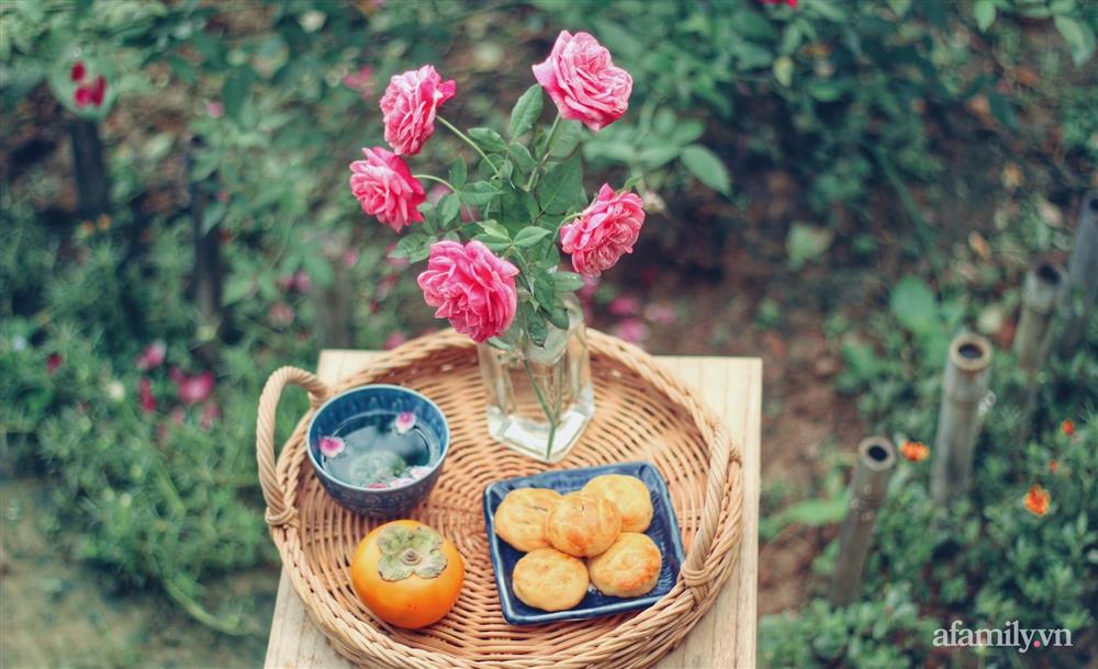 Khu vườn đậm chất thơ bình yên như cổ tích khiến hàng nghìn người mơ ước của cô gái rời Hà Nội về quê-17