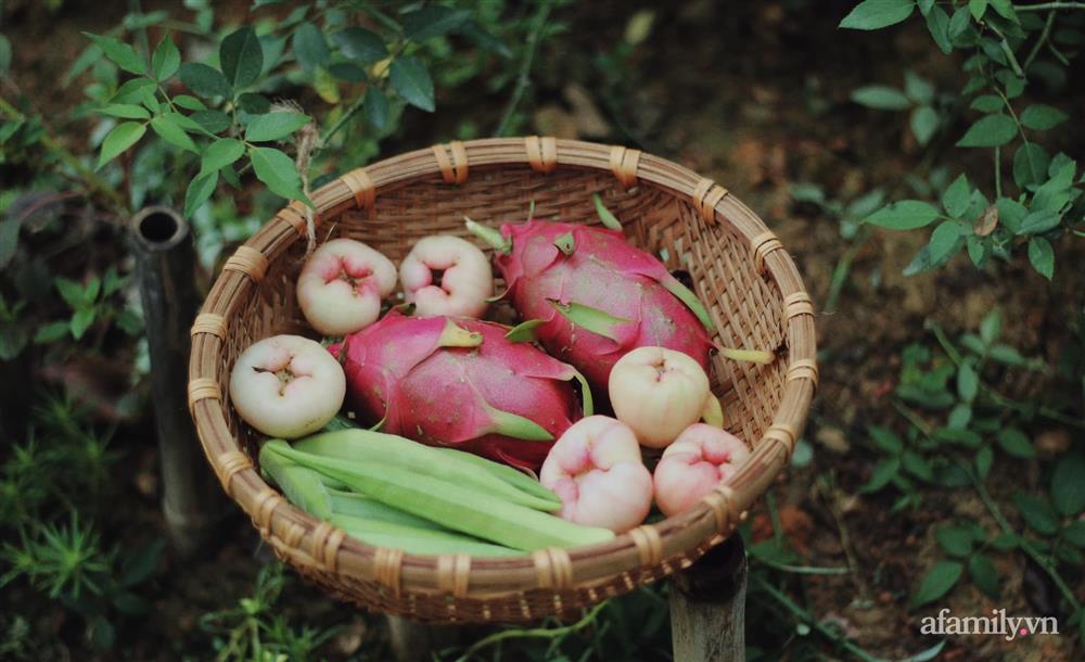 Khu vườn đậm chất thơ bình yên như cổ tích khiến hàng nghìn người mơ ước của cô gái rời Hà Nội về quê-30