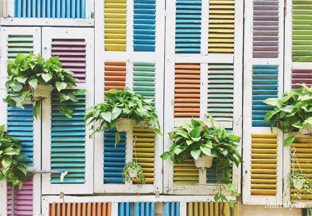 Khu vườn đậm chất thơ bình yên như cổ tích khiến hàng nghìn người mơ ước của cô gái rời Hà Nội về quê-38