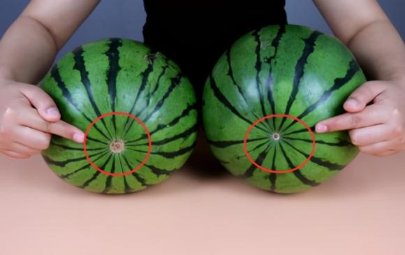Dưa hấu có ngọt hay không, chỉ cần nhìn thoáng qua là bạn có thể biết được-2