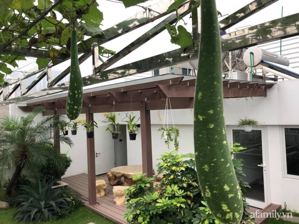 Vườn rau quả sạch 100m² trên mái nhà của mẹ 3 con ở Hà Nội-8