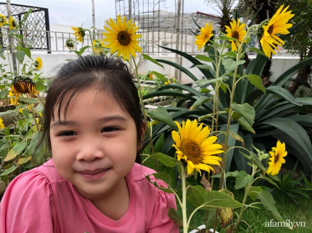 Vườn rau quả sạch 100m² trên mái nhà của mẹ 3 con ở Hà Nội-14