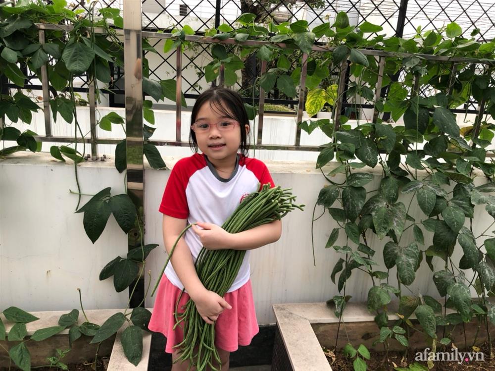 Vườn rau quả sạch 100m² trên mái nhà của mẹ 3 con ở Hà Nội-15