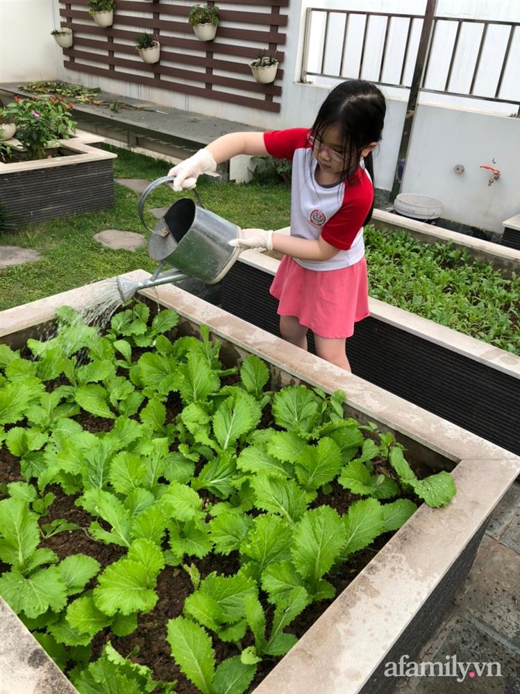 Vườn rau quả sạch 100m² trên mái nhà của mẹ 3 con ở Hà Nội-24