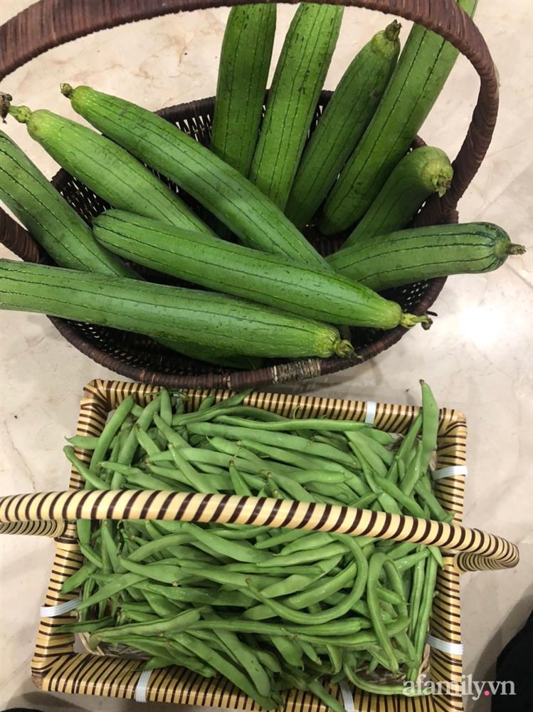 Vườn rau quả sạch 100m² trên mái nhà của mẹ 3 con ở Hà Nội-29