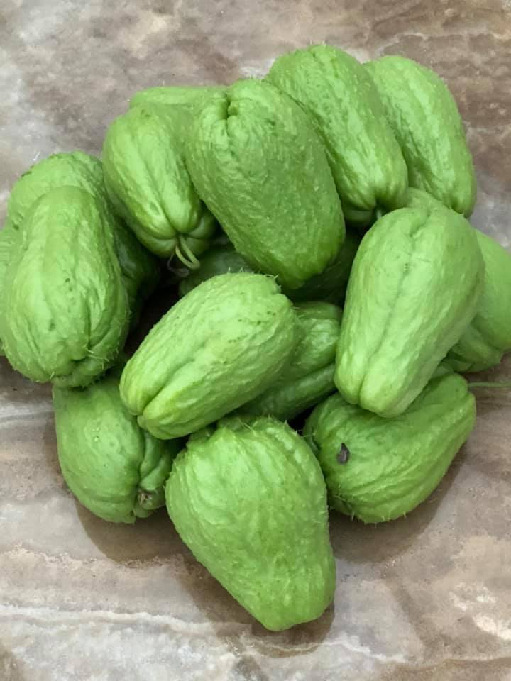 Vườn rau quả sạch 100m² trên mái nhà của mẹ 3 con ở Hà Nội-35