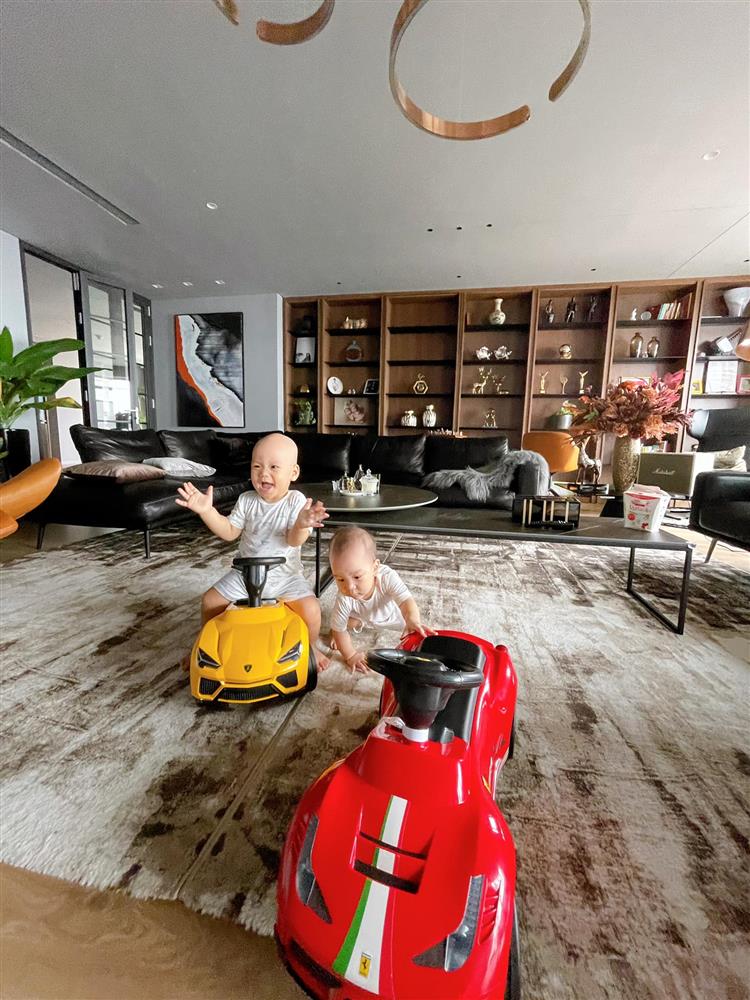 Bà xã MC Thành Trung bỏ 600k mua cây về tự trang trí penthouse 18 tỷ, dân tình ngã ngửa khi biết cô từng chi 25 triệu chỉ để... thuê làm vườn-2