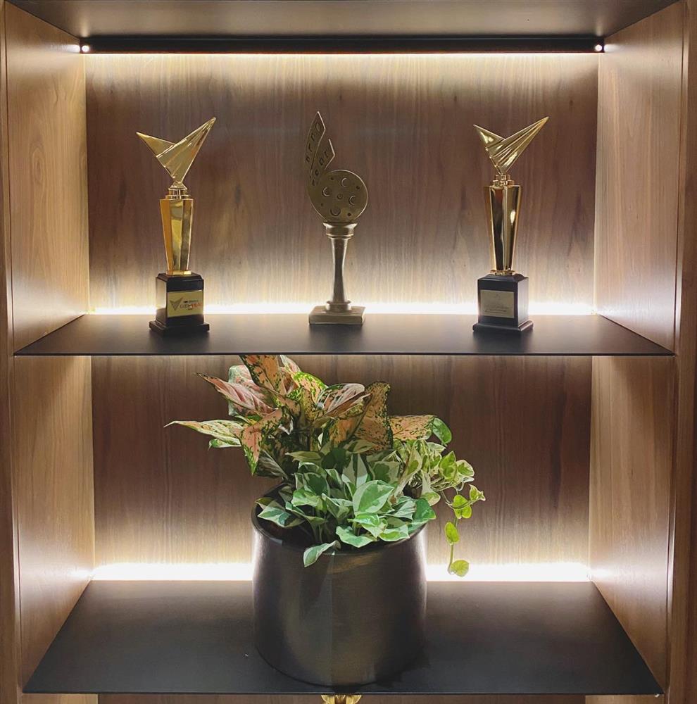 Bà xã MC Thành Trung bỏ 600k mua cây về tự trang trí penthouse 18 tỷ, dân tình ngã ngửa khi biết cô từng chi 25 triệu chỉ để... thuê làm vườn-10