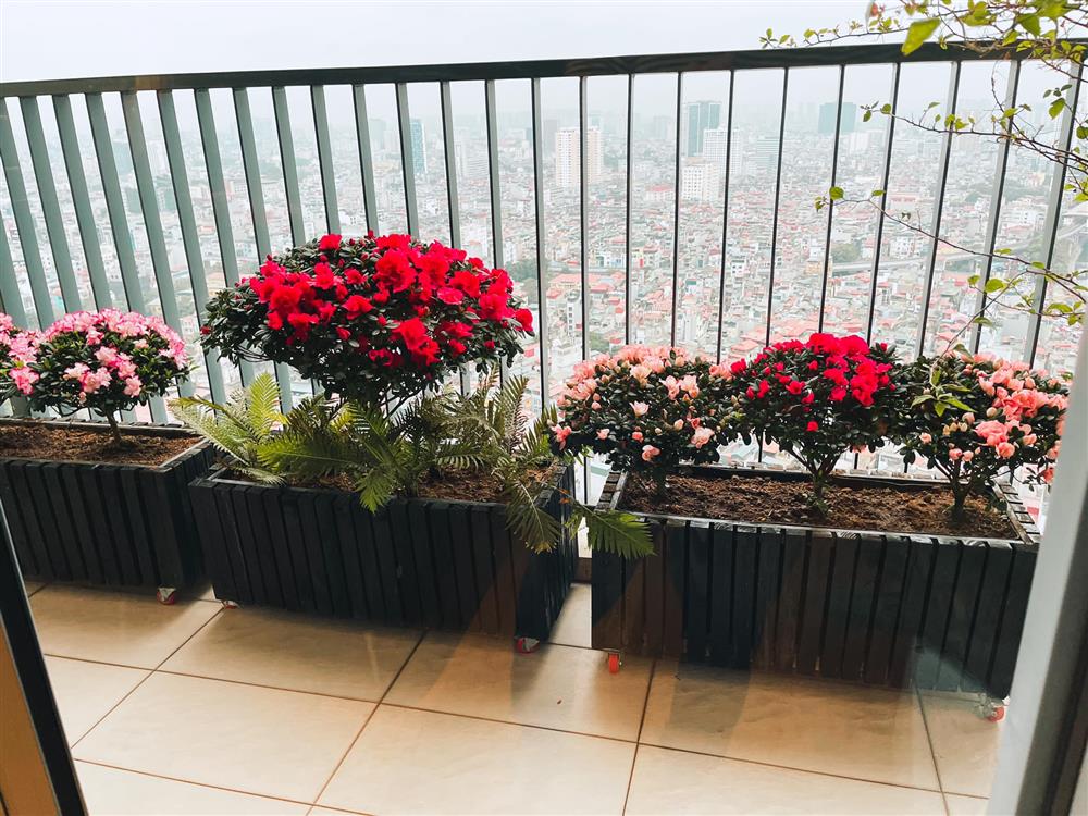 Bà xã MC Thành Trung bỏ 600k mua cây về tự trang trí penthouse 18 tỷ, dân tình ngã ngửa khi biết cô từng chi 25 triệu chỉ để... thuê làm vườn-14