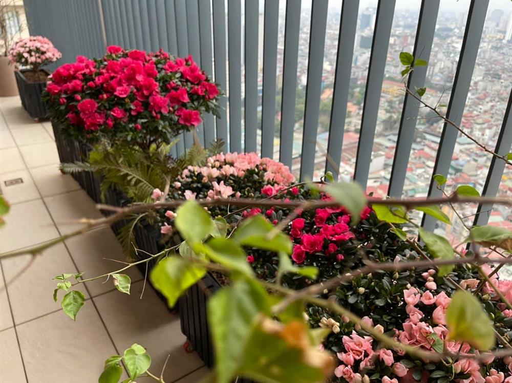 Bà xã MC Thành Trung bỏ 600k mua cây về tự trang trí penthouse 18 tỷ, dân tình ngã ngửa khi biết cô từng chi 25 triệu chỉ để... thuê làm vườn-15