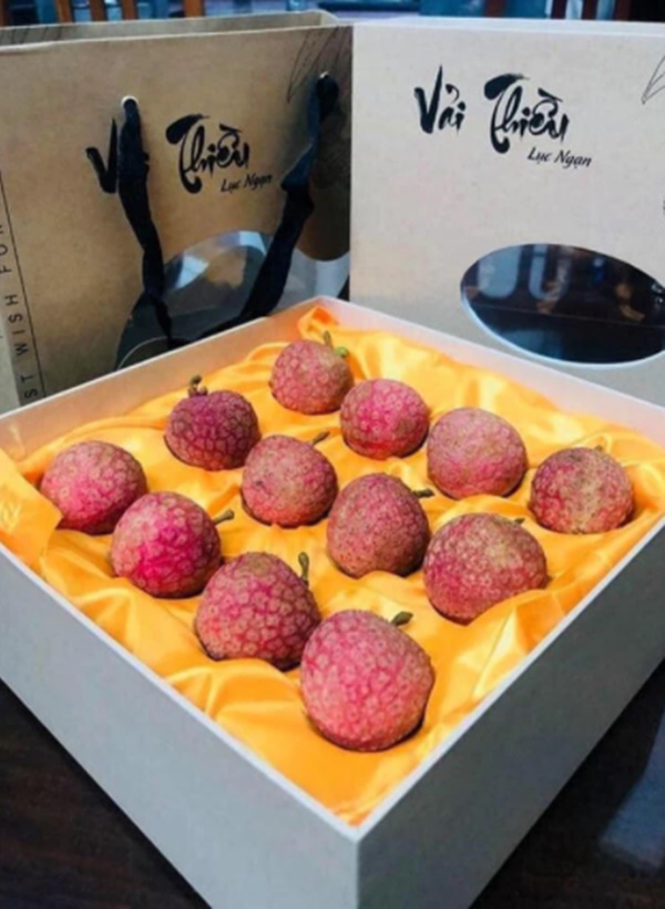 Vải Bắc Giang bị ép giá xuống 2.000 đồng/kg trong tâm dịch: Sự thật là gì?-2