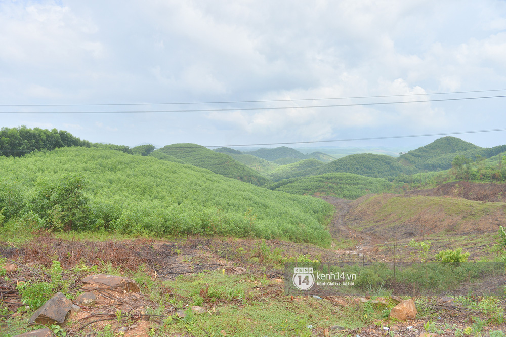 Chủ tịch xã vùng lũ ở Quảng Bình: Đời sống ở đây ổn định rồi, NS Hoài Linh nên tăng cường số quà này về những vùng dịch Covid-19-4