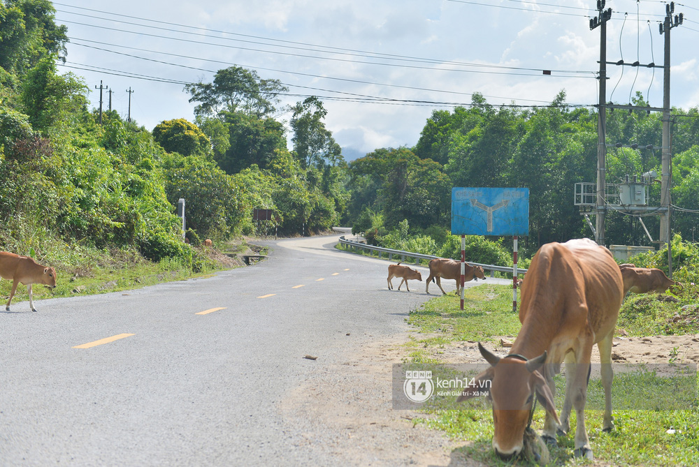 Chủ tịch xã vùng lũ ở Quảng Bình: Đời sống ở đây ổn định rồi, NS Hoài Linh nên tăng cường số quà này về những vùng dịch Covid-19-5