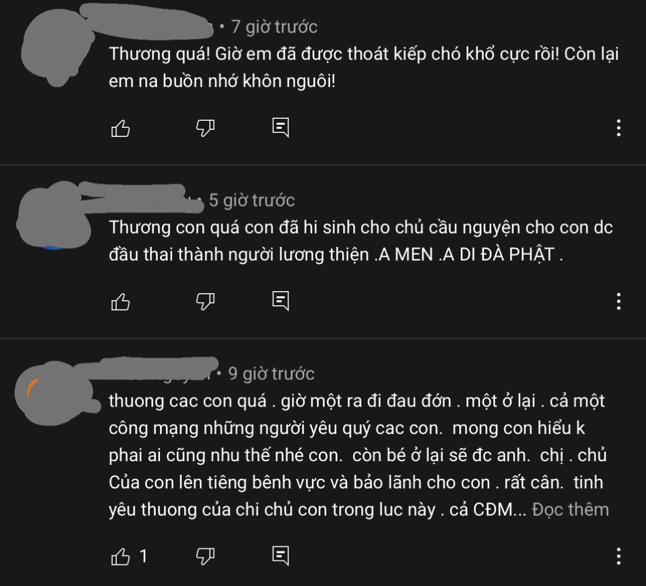 Hình ảnh cuối cùng của 2 chú chó Pitbull ở Long An trước khi cắn chết người và tấn công chủ-4
