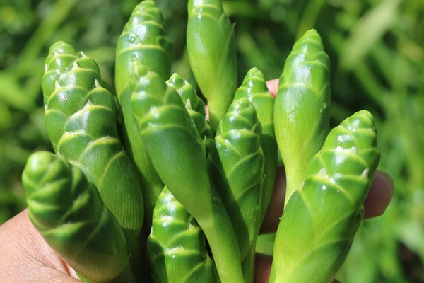 Bất ngờ món ăn khoái khẩu thời bao cấp thành đặc sản hút khách nhà hàng-11