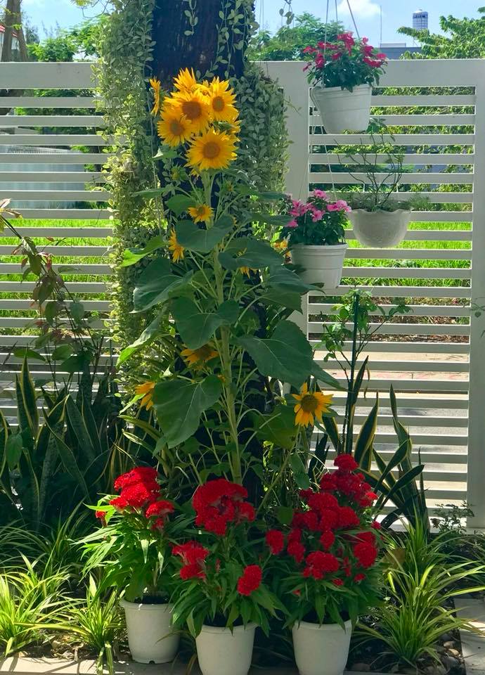 Không gian nội thất bên trong biệt thự giá 21 tỷ của MC Quyền Linh-13