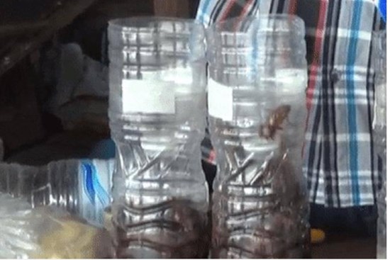 Chỉ một vỏ chai nhựa bẫy được cả trăm con gián