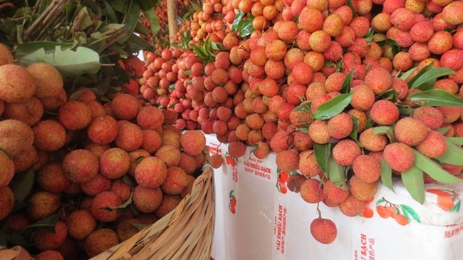 Bất ngờ giá bán quả vải Việt Nam ở siêu thị Nhật lên tới nửa triệu mỗi kg-1