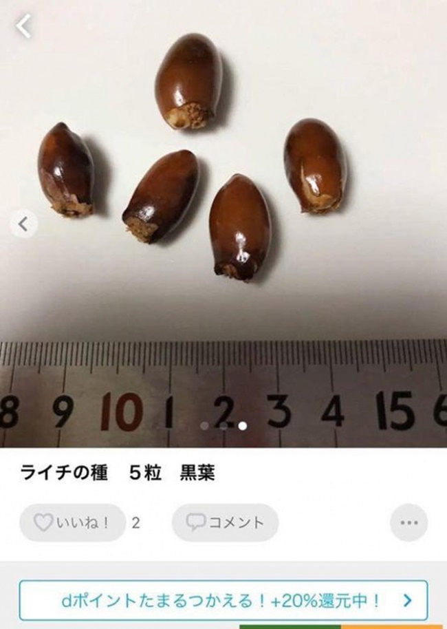 Bất ngờ giá bán quả vải Việt Nam ở siêu thị Nhật lên tới nửa triệu mỗi kg-11