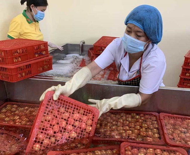 Bất ngờ giá bán quả vải Việt Nam ở siêu thị Nhật lên tới nửa triệu mỗi kg-2