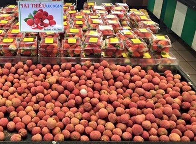 Bất ngờ giá bán quả vải Việt Nam ở siêu thị Nhật lên tới nửa triệu mỗi kg-6
