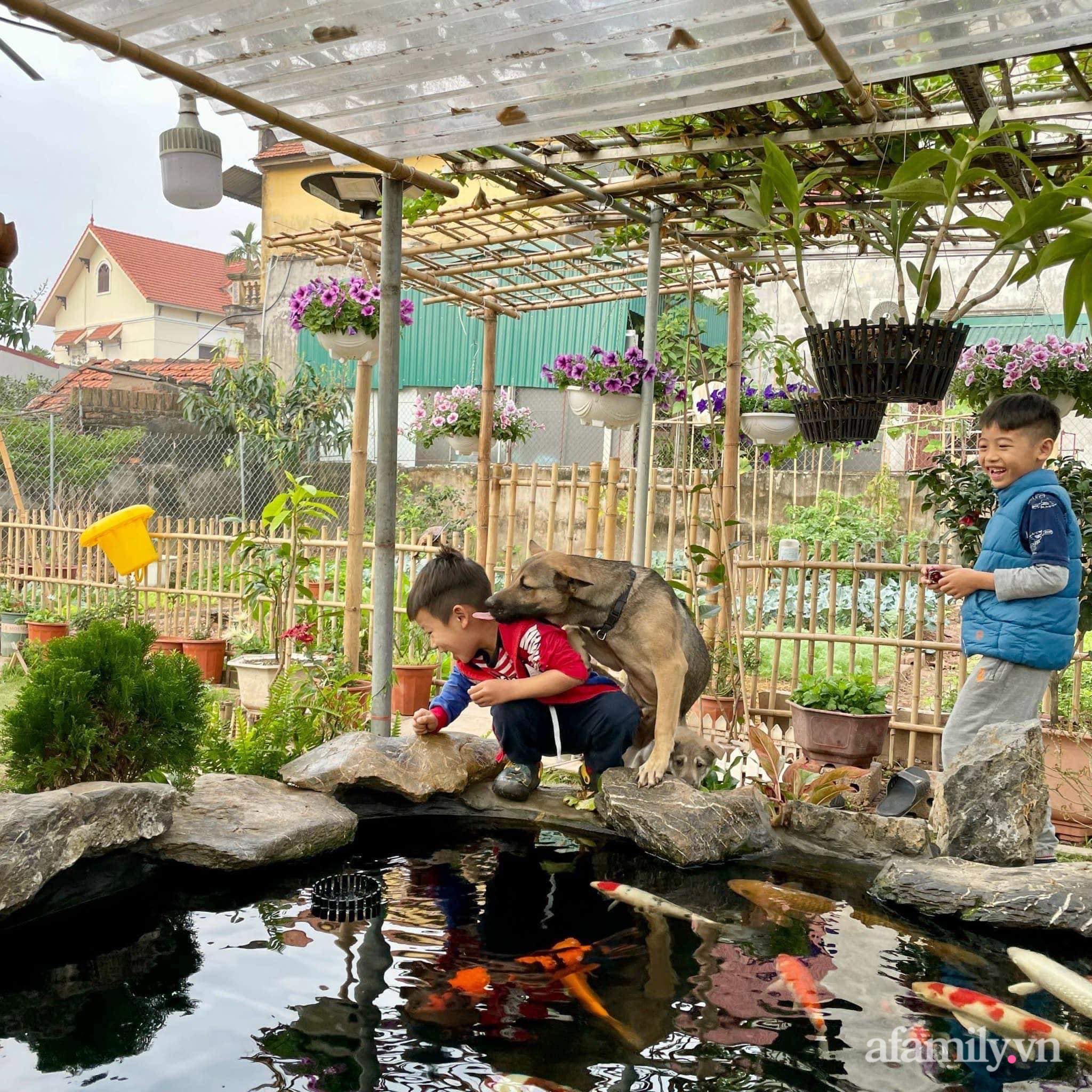 Mảnh đất khô cằn 400m² biến thành khu vườn xanh mát, món quà của con gái dành tặng bố mẹ an hưởng tuổi già ở Hưng Yên-10