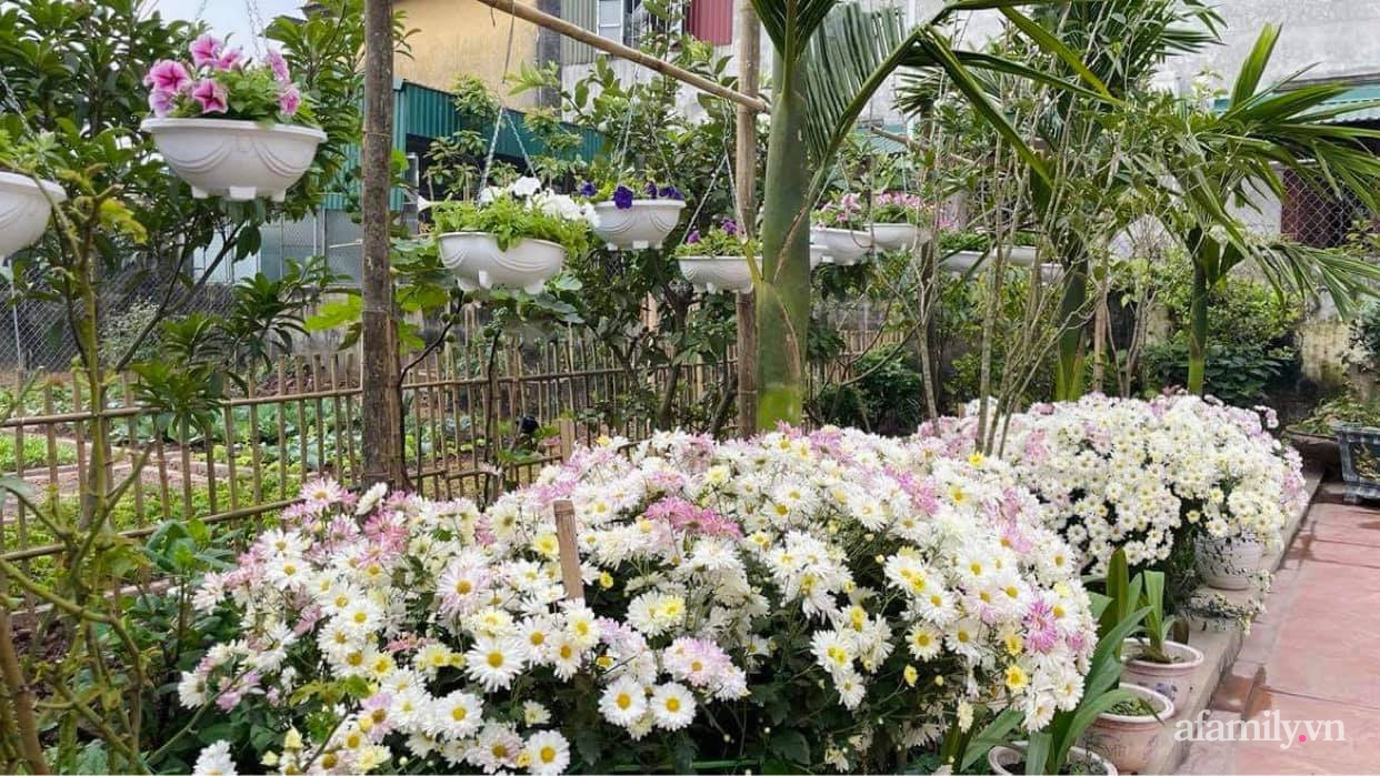 Mảnh đất khô cằn 400m² biến thành khu vườn xanh mát, món quà của con gái dành tặng bố mẹ an hưởng tuổi già ở Hưng Yên-18