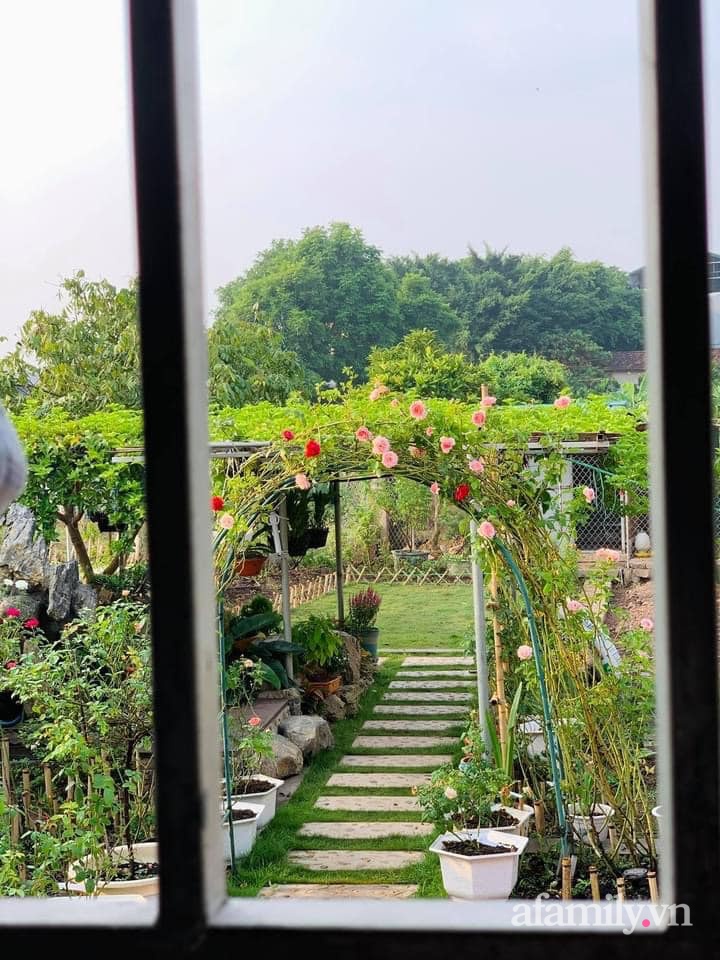 Mảnh đất khô cằn 400m² biến thành khu vườn xanh mát, món quà của con gái dành tặng bố mẹ an hưởng tuổi già ở Hưng Yên-7