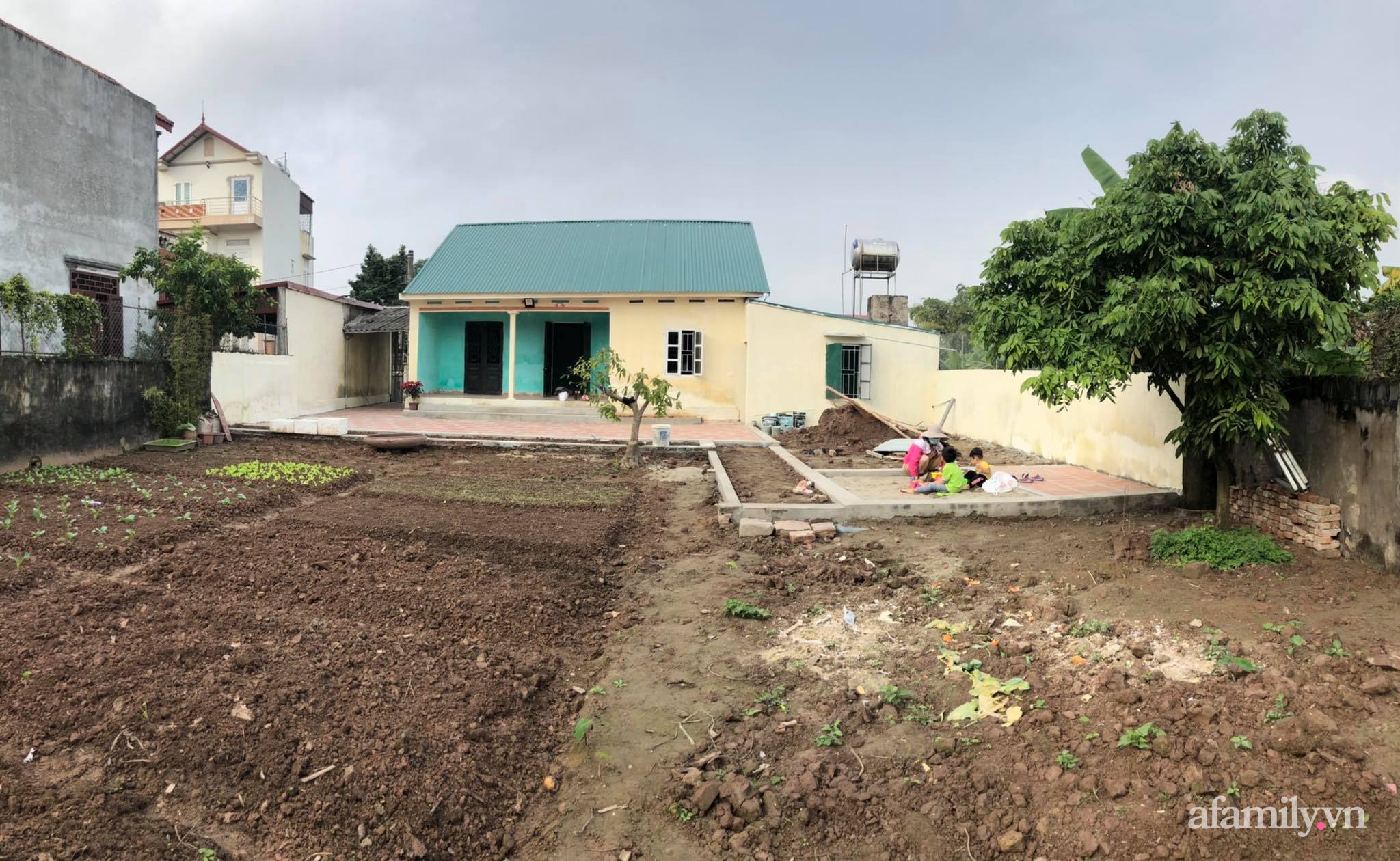 Mảnh đất khô cằn 400m² biến thành khu vườn xanh mát, món quà của con gái dành tặng bố mẹ an hưởng tuổi già ở Hưng Yên-1