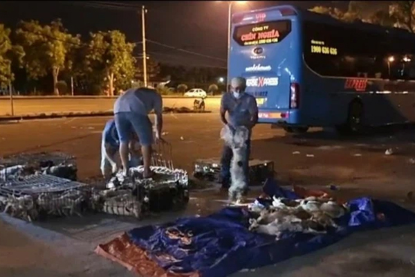 Tốc ký của một nhân viên y tế: Lần đầu biết tâm dịch là thế nào-4