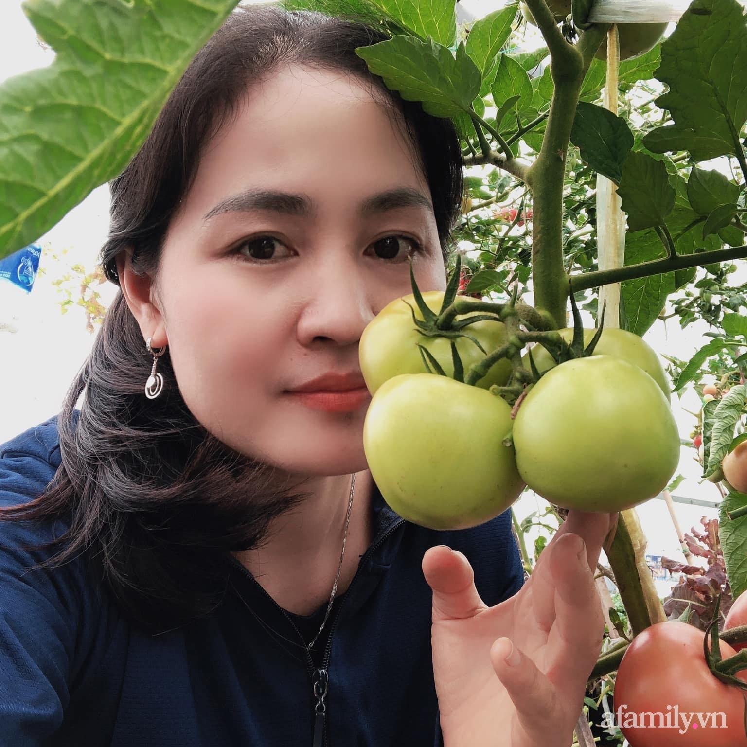 Sân thượng 100m² xanh tươi rau quả sạch của mẹ đảm ở Đà Nẵng-4