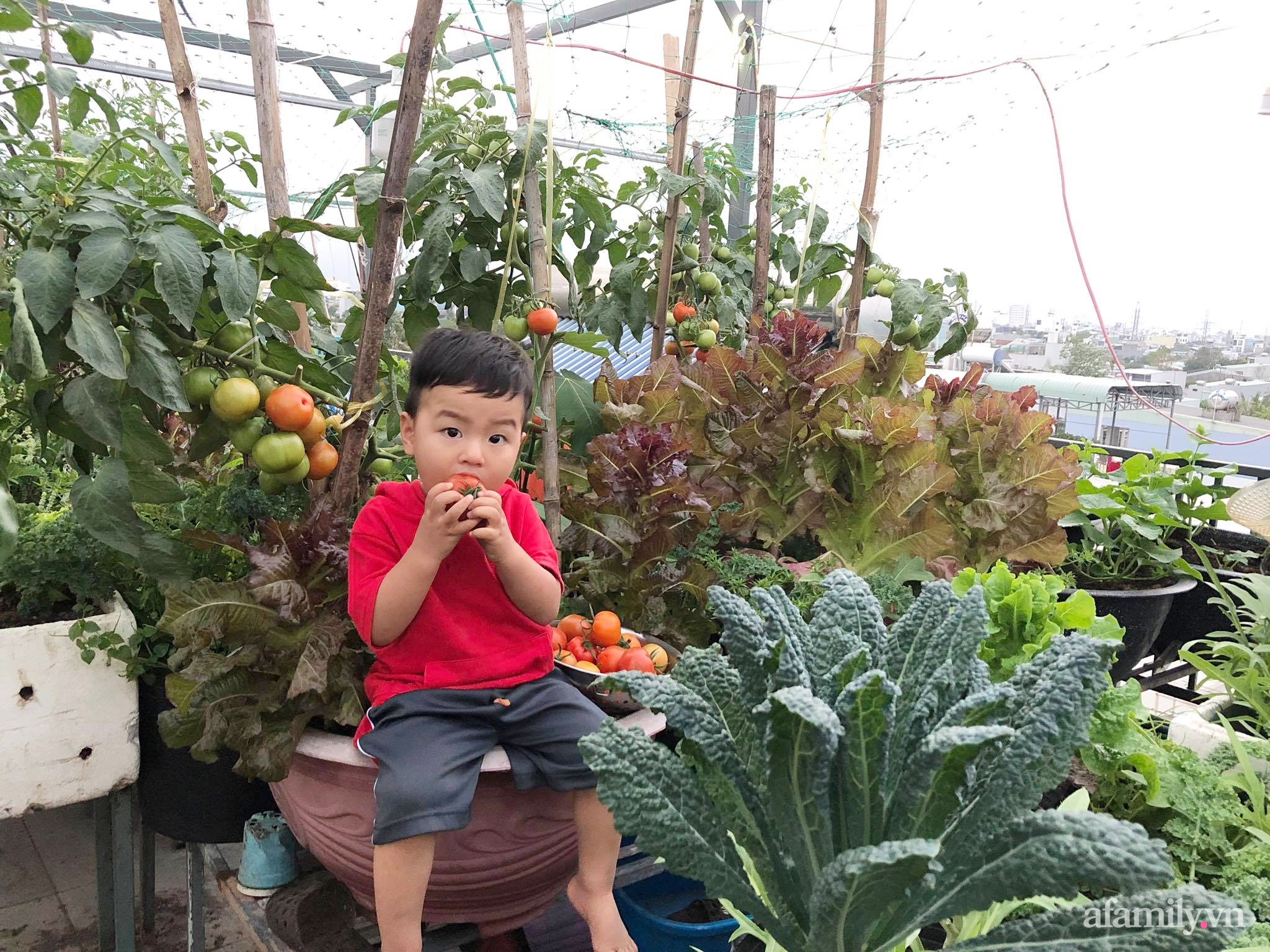 Sân thượng 100m² xanh tươi rau quả sạch của mẹ đảm ở Đà Nẵng-27