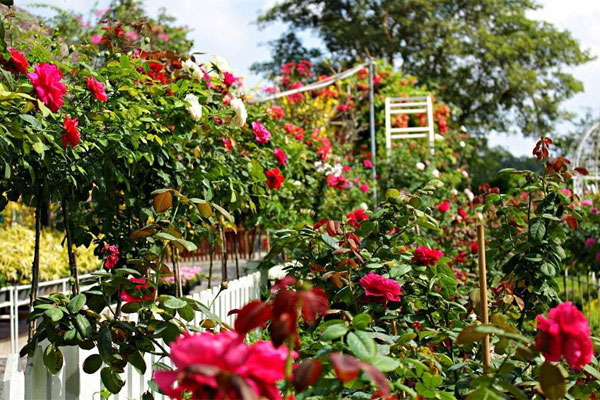 Bố lên thăm nhà con gái, chứng kiến cảnh nghẹn lòng-1