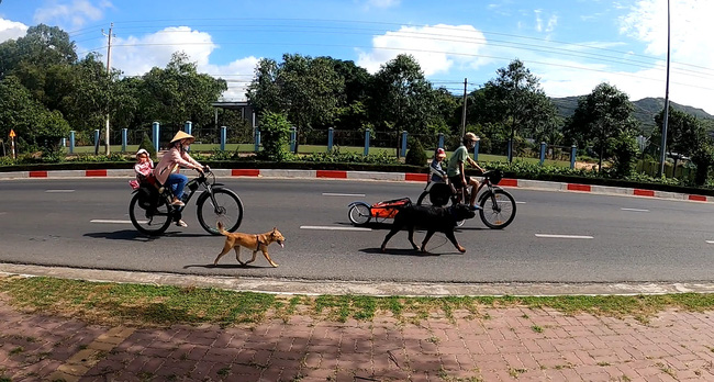 Vợ chồng cô giáo mầm non bán hết nhà cửa, cho 2 con nhỏ đi phượt bằng xe đạp: Cuộc đời này, đừng bó buộc tụi trẻ trên ghế nhà trường-1