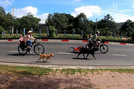 Vợ chồng cô giáo mầm non bán hết nhà cửa, cho 2 con nhỏ đi phượt bằng xe đạp: Cuộc đời này, đừng bó buộc tụi trẻ trên ghế nhà trường