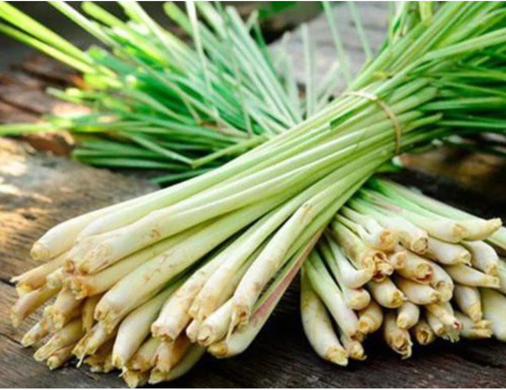 Đặt một bó sả vào nhà vệ sinh bạn sẽ thấy điều kỳ diệu-1