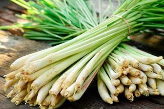 Đặt một bó sả vào nhà vệ sinh bạn sẽ thấy điều kỳ diệu