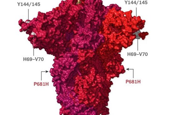 Phân tích kết quả giải trình tự gene cho thấy: Biến chủng SARS-CoV-2 mới xuất hiện tại Việt Nam rất nguy hiểm