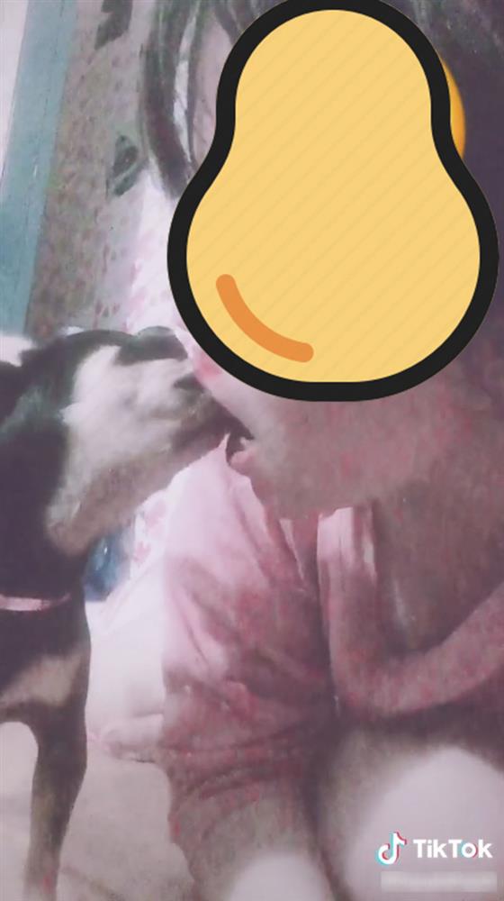 Nữ TikToker Việt thản nhiên hôn lưỡi với chó khiến dân tình shock nặng!-1