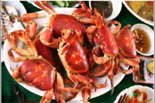 Cua đá núi đưa về Hà Nội được quảng cáo là ngon hơn cua biển, rẻ hơn cua đồng”-3