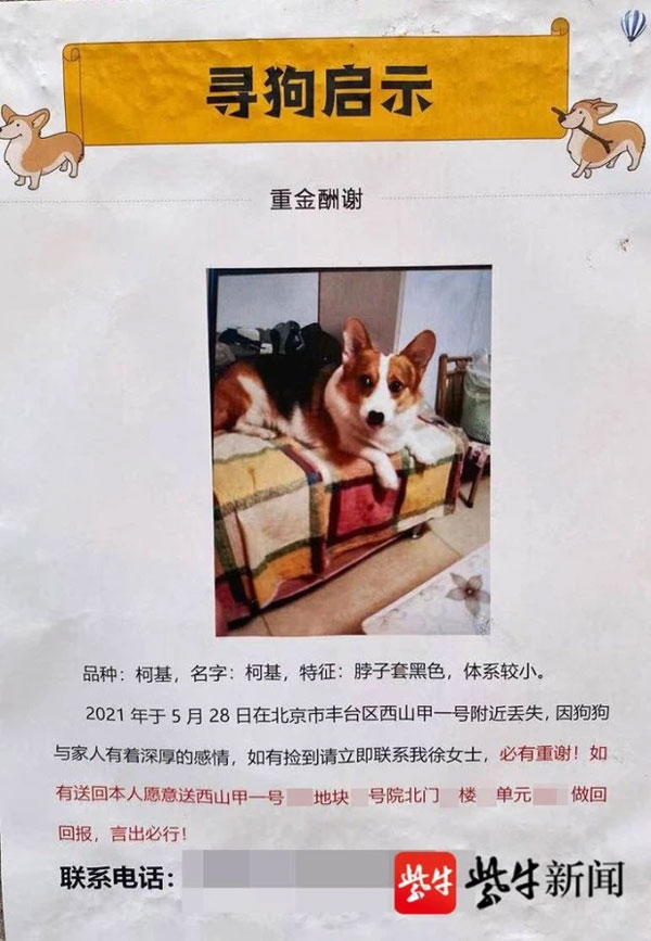 Đăng tìm boss chân ngắn đi lạc, sen hứa hậu tạ 1 căn hộ giữa thủ đô khiến cõi mạng dậy sóng: Chẳng mấy mà cái sự giàu sang đổ ập xuống đầu-1