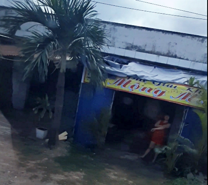 Xuất ngoại bán hoa, cô gái chạy trốn tình yêu nơi xứ người-4