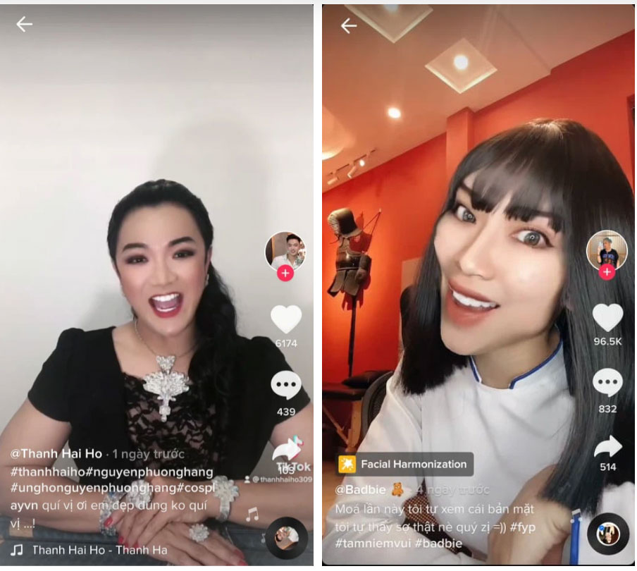 Trào lưu cover thánh livestream nhanh chóng chiếm sóng mạng xã hội, TikToker ai nấy đầu tư kỹ lưỡng nhìn như chị em sinh đôi!-2