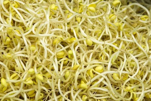 3 loại thực phẩm nảy mầm không những không độc mà còn bổ dưỡng hơn gấp bội-1