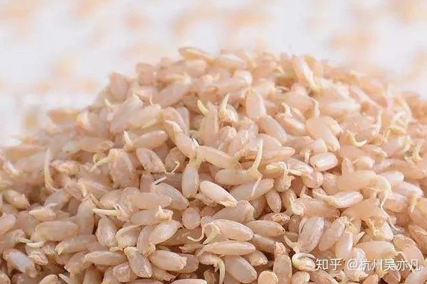 3 loại thực phẩm nảy mầm không những không độc mà còn bổ dưỡng hơn gấp bội-3