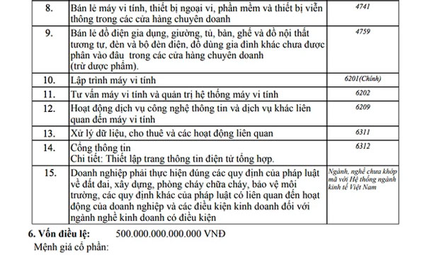 Người đàn ông 35 tuổi ở TP.HCM đăng ký góp hơn 500.000 tỉ đồng vào nhiều công ty-1