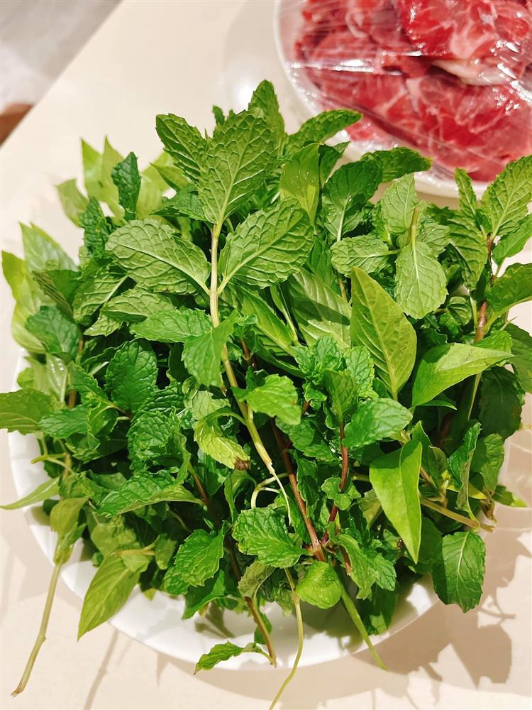 Sân thượng trong nhà phố rộng 100m2 của Diệp Bảo Ngọc tràn ngập rau xanh, hoa quả sạch đáng mơ ước-9