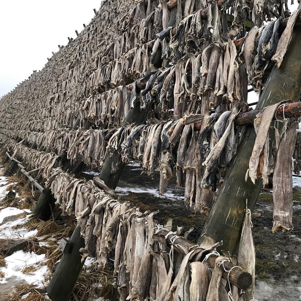 6 đặc sản siêu thối được ví như quả bom mùi vị vẫn hút khách sành ăn-8