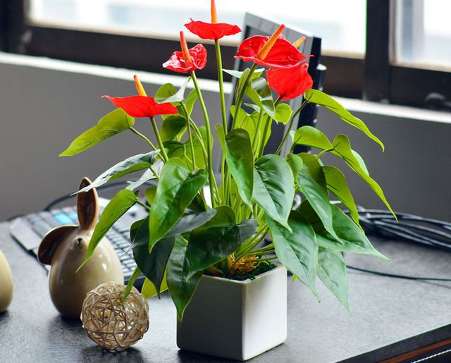 Phong thủy bàn làm việc cho người mệnh Hỏa: Bố trí thế nào để sự nghiệp hanh thông, công danh tấn tới?-2